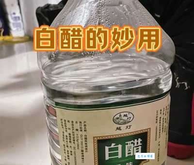 厨房必备:白醋和醋精的区别,你真的了解吗?
