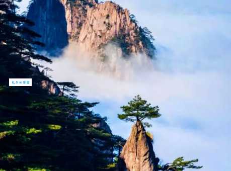 探秘黄山四绝：奇松、怪石、云海、温泉的魅力