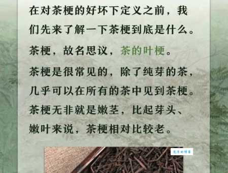 秋茶谐音梗的含义是什么?网络流行语深度解读!