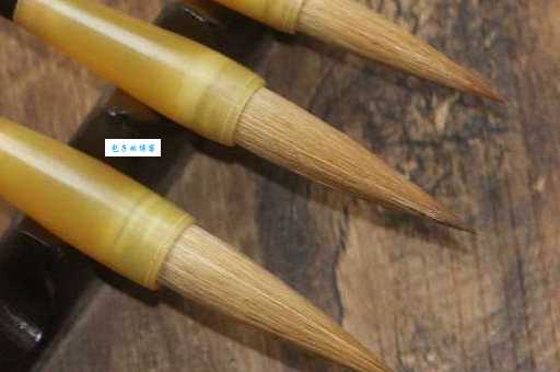 你知道狼毫毛笔的“狼”指什么动物吗?答案可能出乎意料