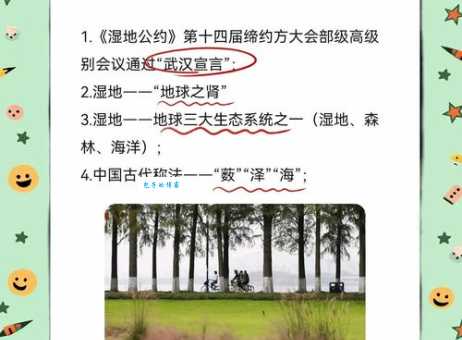 湿地被称为什么？你知道它对地球有多重要吗？
