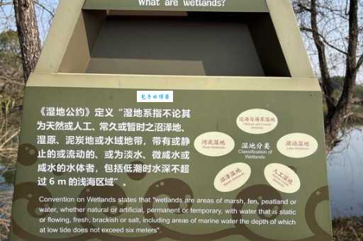 湿地被称为什么？你知道它对地球有多重要吗？