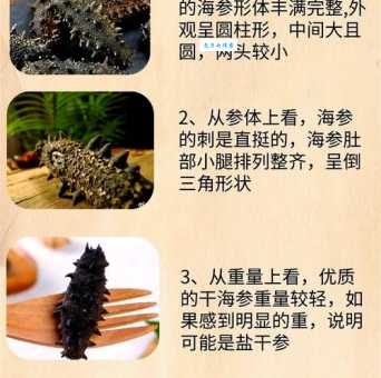 三鲜海参是哪里的菜系?浙菜?鲁菜?还是其他?