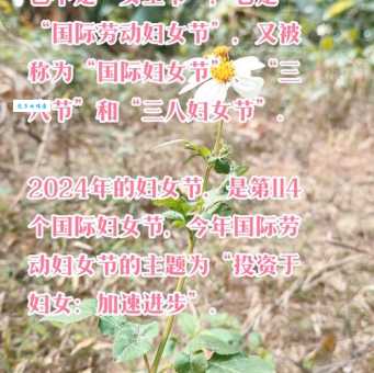 什么时候是女生节?女生节的来历和发展历程