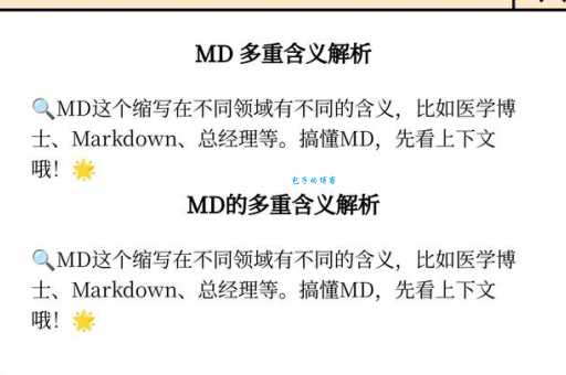 TD版到底是什么?带你了解不同领域的含义