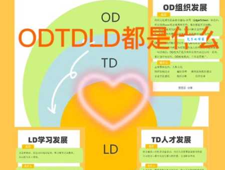 TD版到底是什么?带你了解不同领域的含义
