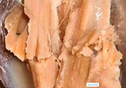 细解“藕断丝连”:那根细丝是植物的什么组织?