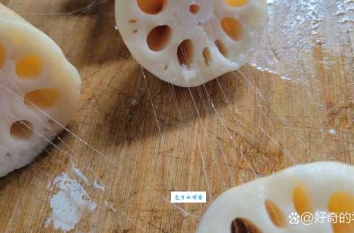 细解“藕断丝连”:那根细丝是植物的什么组织?
