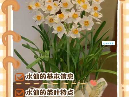 水熊虫和水仙花，谁的生命力更持久？