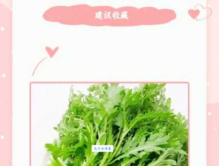 春天吃野菜，芦蒿和茼蒿怎么选？教你轻松区分芦蒿和茼蒿！