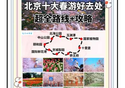 北京踏青好去处:最全赏花攻略,周末赶紧去!