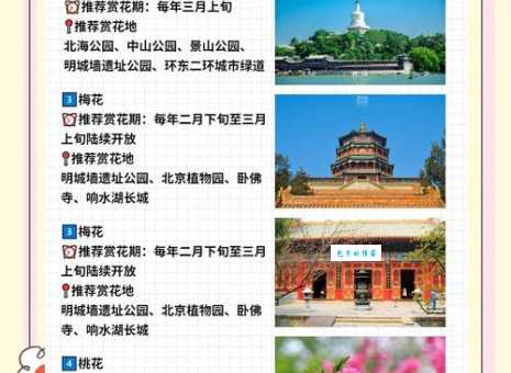 北京踏青好去处:最全赏花攻略,周末赶紧去!