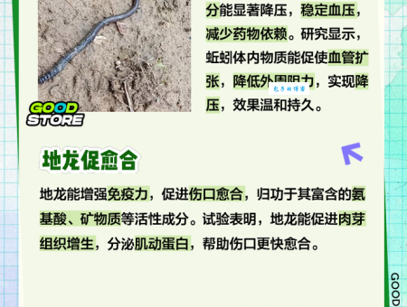 揭秘:蚯蚓最怕的三样东西,你猜对了吗?
