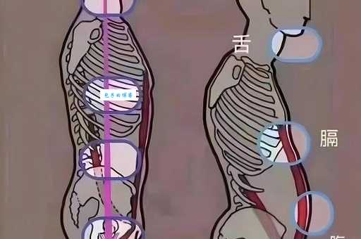 深入解读“吹气球”:两种含义的详细解释和区别
