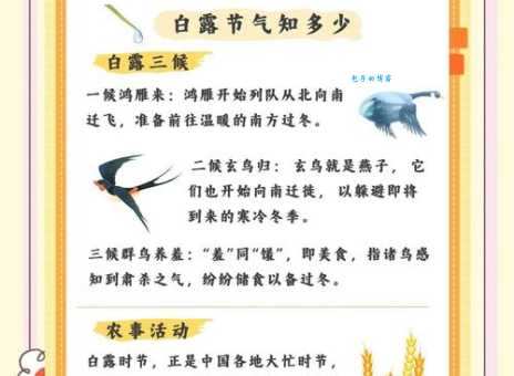 “露从今夜白”出自哪个节气?白露节气天气特点及物候