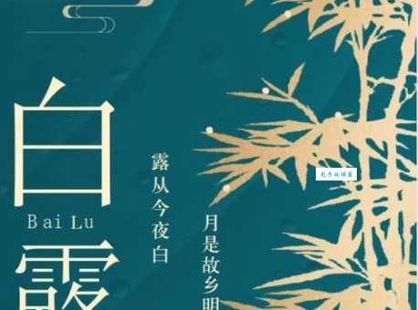 “露从今夜白”出自哪个节气?白露节气天气特点及物候
