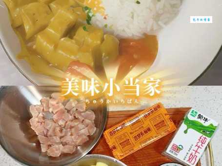 咖喱是由哪些材料制作而成的?深度解析咖喱的香料配方