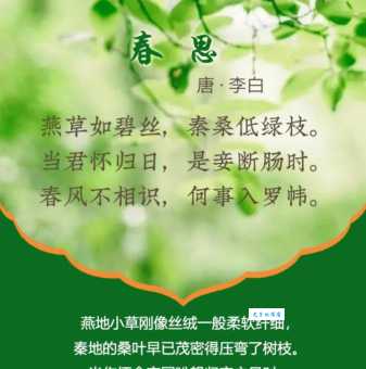 诗词鉴赏：当春乃发生的前一句是什么，有什么含义？