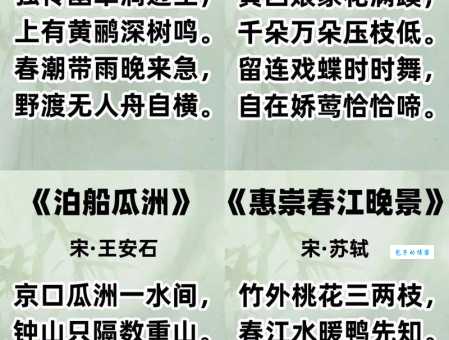 诗词鉴赏：当春乃发生的前一句是什么，有什么含义？