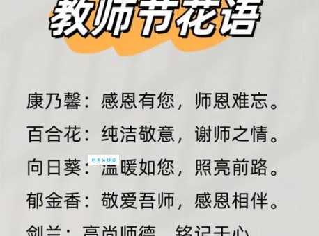 想送老师花表达谢意?教师节送花指南看这里!