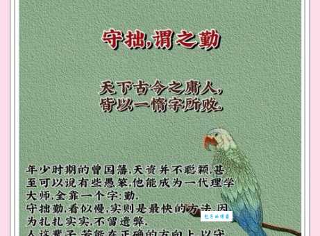 详解“拙荆”的含义及用法,你真的懂吗?