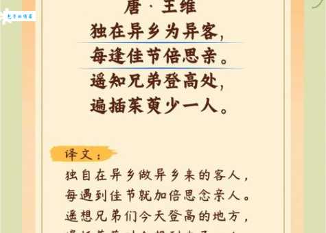 重阳节诗句“遍插茱萸少一人”,遍的意思你真的懂吗?