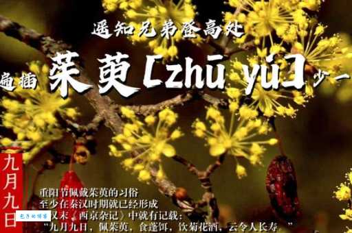 详解“遍插茱萸少一人”中“遍”字的含义及诗句的深层含义