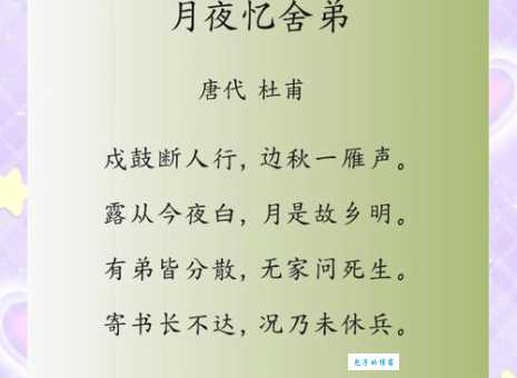 “露从今夜白,月是故乡明”完整诗句是什么?详解杜甫月夜忆舍弟