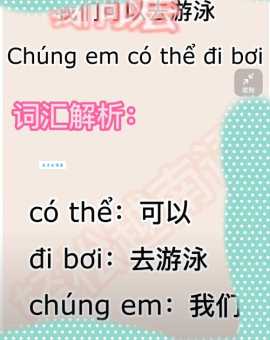 搞定砗磲的读音！chē qú发音技巧与例句分享