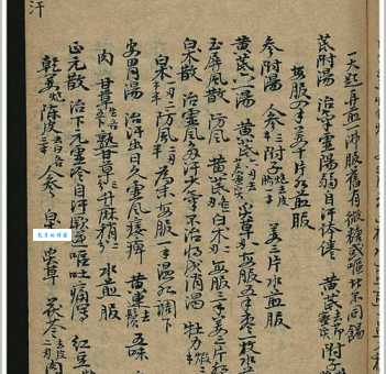 救荒本草属于哪个朝代？探秘明代的饥荒植物救济书