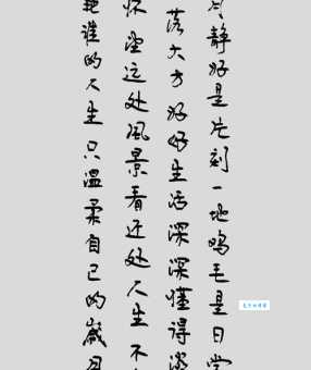 岁月静好的完整诗句是什么？附原文及现代解读