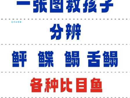 鳎目怎么读？读音及鳎目鱼介绍