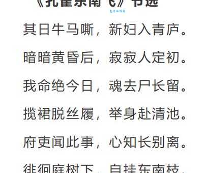 东南枝的含义详解，简单易懂的解释