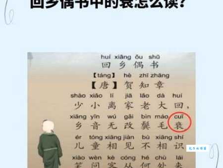 鬓毛衰中的衰是什么意思？诗词中“衰”字的含义详解