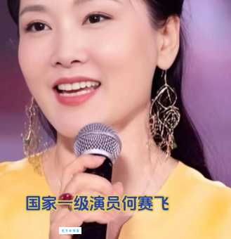 何赛飞个人资料简介:深入了解这位实力派女演员的成长故事