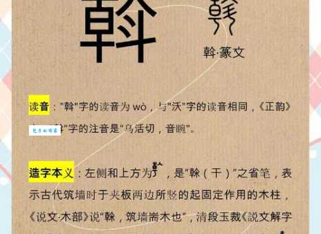 如何理解“掴”的含义？深入了解掴字的来源和演变