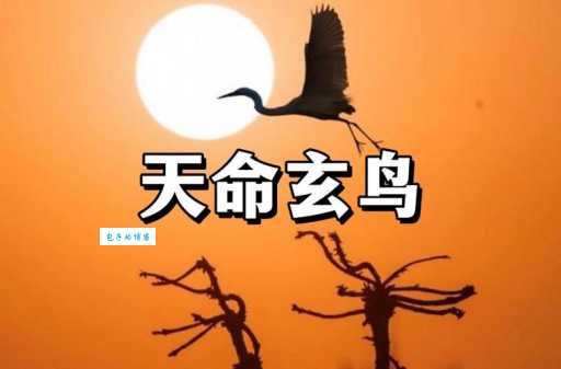 玄鸟是燕子吗?古籍记载与现代研究的观点大碰撞。