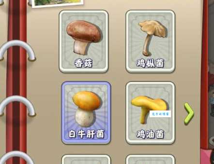 “夺笋”是什么意思?东北话谐音梗“夺笋”的含义及用法