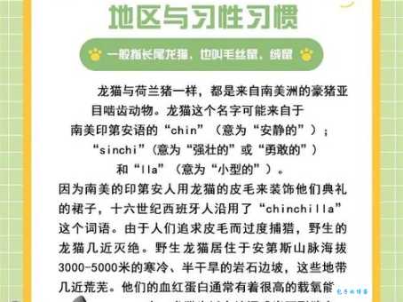 想养龙猫？先了解它是什么动物，以及它的生活习性