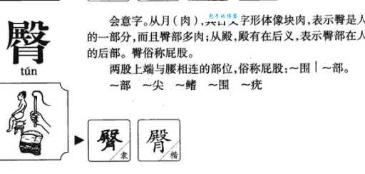臀组词有哪些？常用臀部词语大全