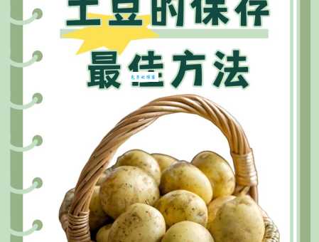 不发芽不长绿!土豆保存妙招大公开!