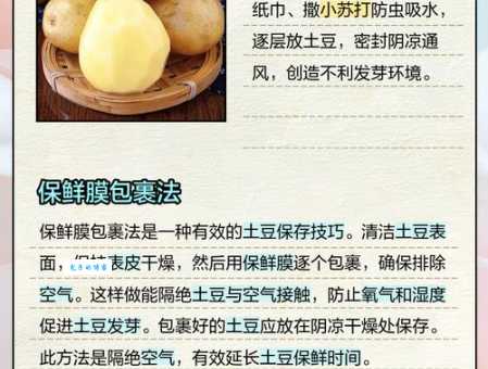 不发芽不长绿！土豆保存妙招大公开！