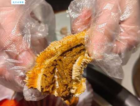 海星能吃吗?教你如何安全食用海星,补充营养又健康!