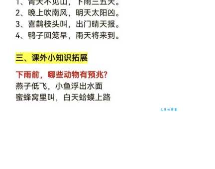 下雨前动物有哪些征兆？这些现象预示着暴风雨来临