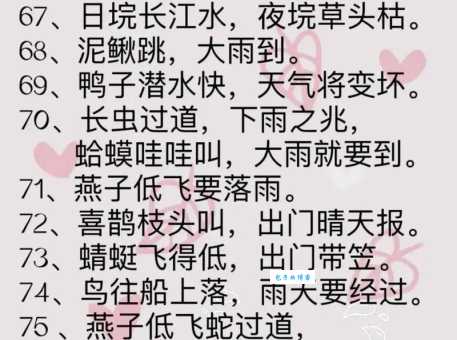 下雨前动物有哪些征兆?这些现象预示着暴风雨来临