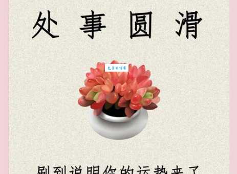 世故圆滑的经典例句有哪些？教你如何正确使用世故圆滑