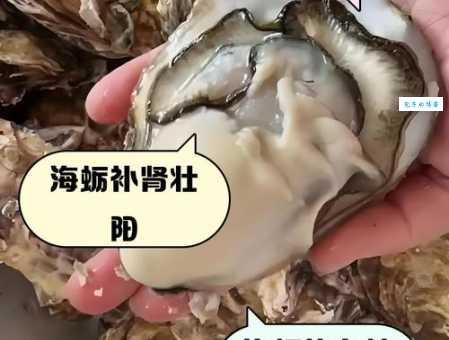 深扒海蛎子的营养价值，看完你就懂了
