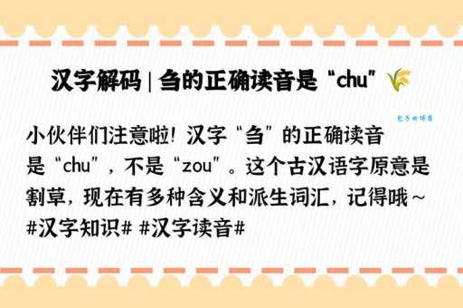 “刍”字怎么读？chú音的详细解释及相关词语