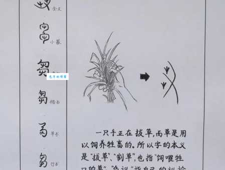 “刍”字怎么读?chú音的详细解释及相关词语