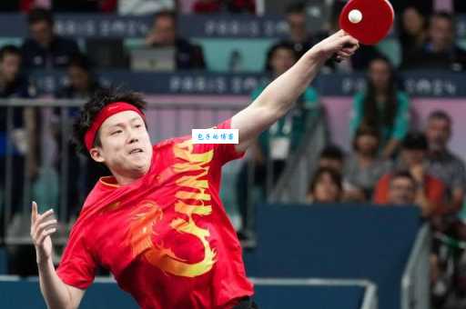中国的国球是什么球？乒乓球运动在中国的地位和影响力有多大？